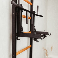 BenchK 232 Wall Bars