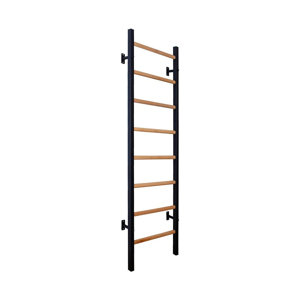 BenchK 200 B/W Wall Bars