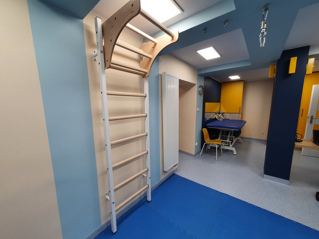 BenchK 211B Wall Bars