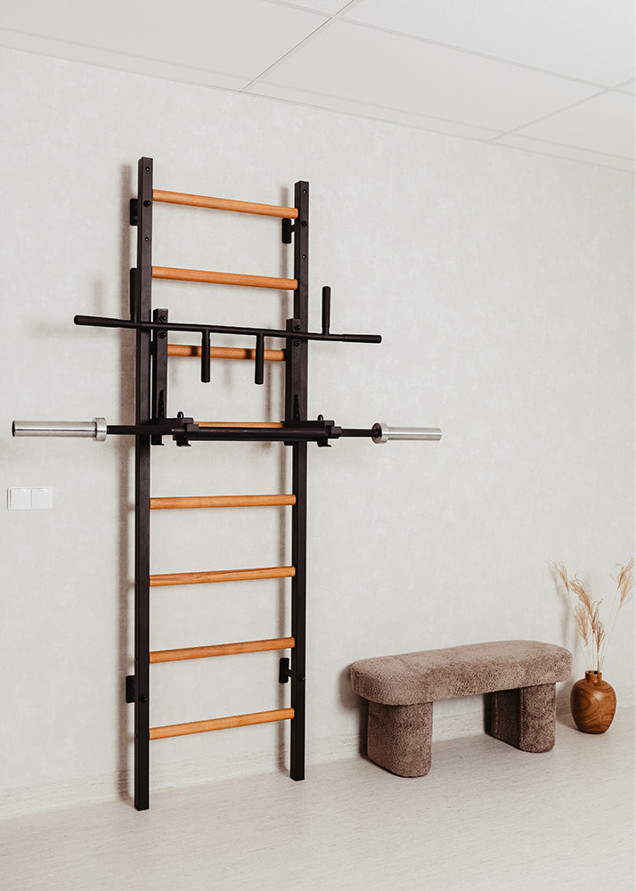 BenchK 231 wall bars