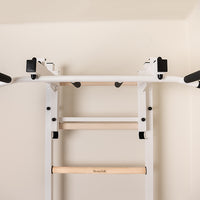 BenchK 231 wall bars